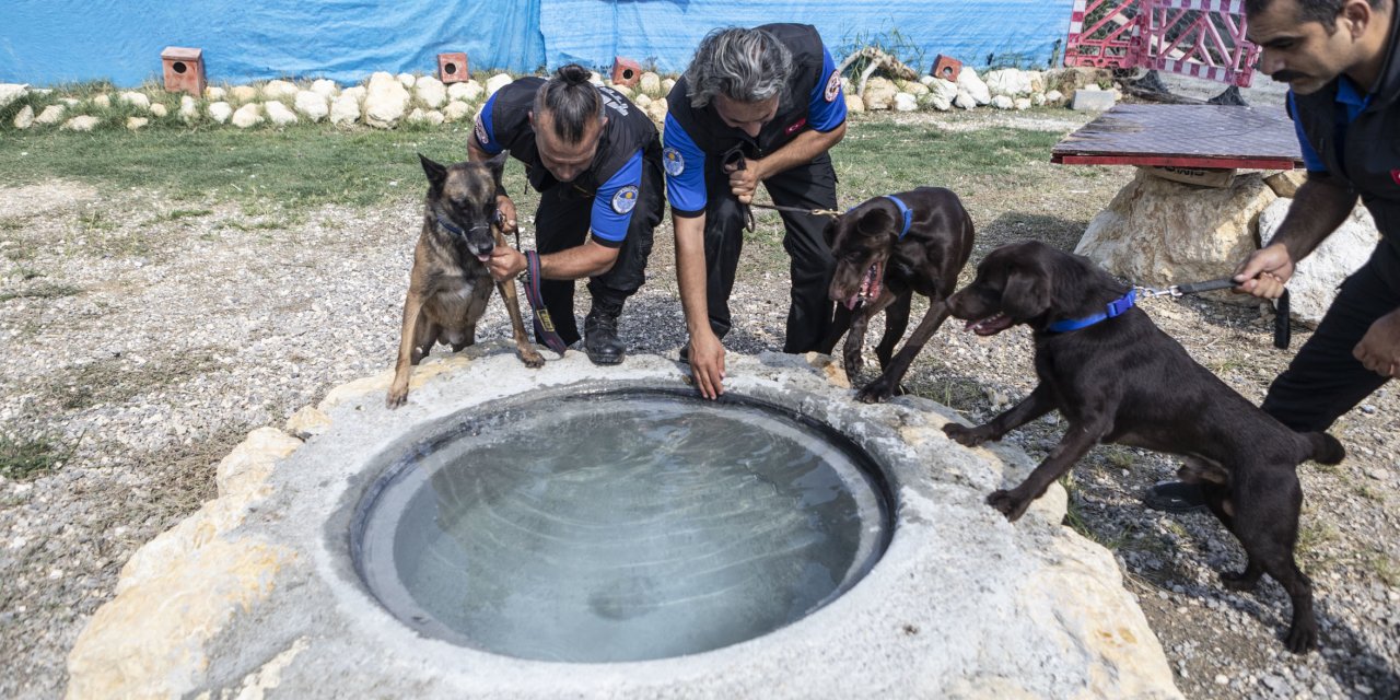 MERSİN BÜYÜKŞEHİR'İN SERTİFİKALI K9 KÖPEKLERİ CAN KURTARIYOR