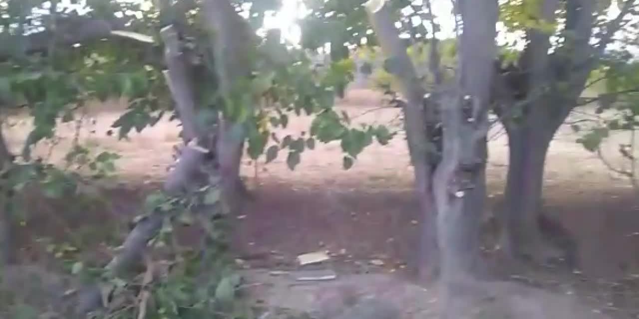 KÖMÜRE ZAM ÜSTÜNE ZAM GELİNCE KÖYLÜ AĞAÇLARINI KESMEYE BAŞLADI
