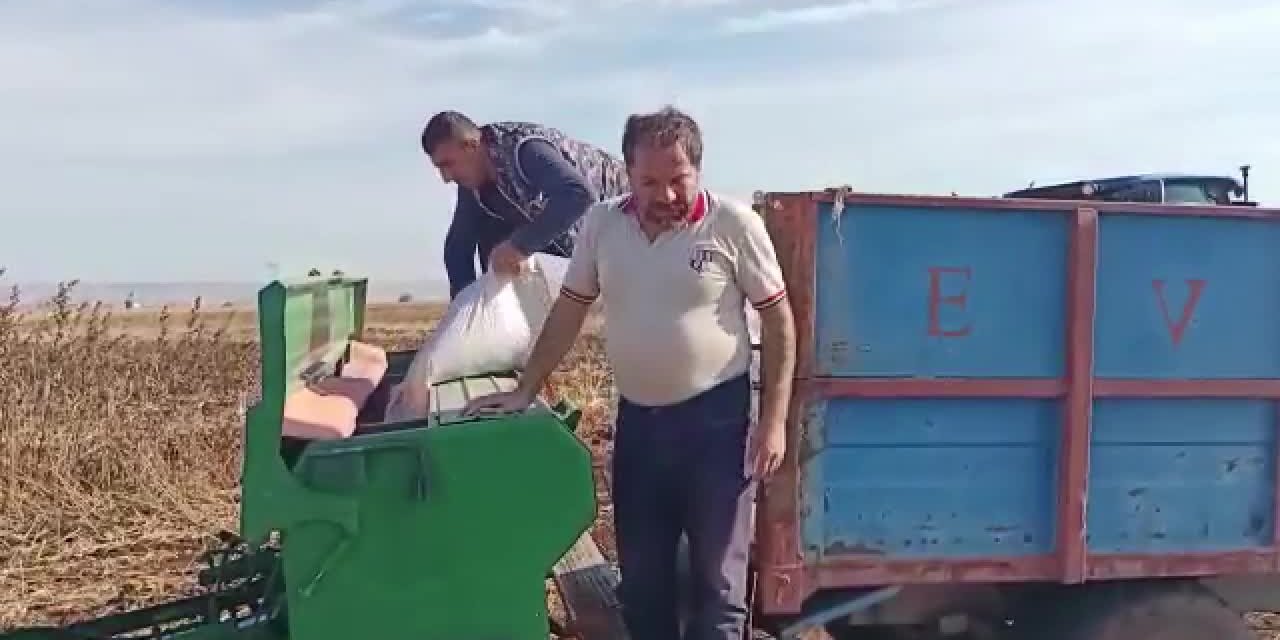 GÜBRESİZ EKİM YAPAN YENİŞEHİR ZİRAAT ODASI BAŞKANI: "GÜBRENİN MAALİYETİ DÖNÜM BAŞINA 350 LİRA"