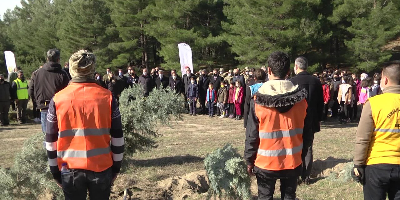 MİLLİ AĞAÇLANDIRMA GÜNÜ'NDE EDREMİT'TE FİDAN DİKİLDİ