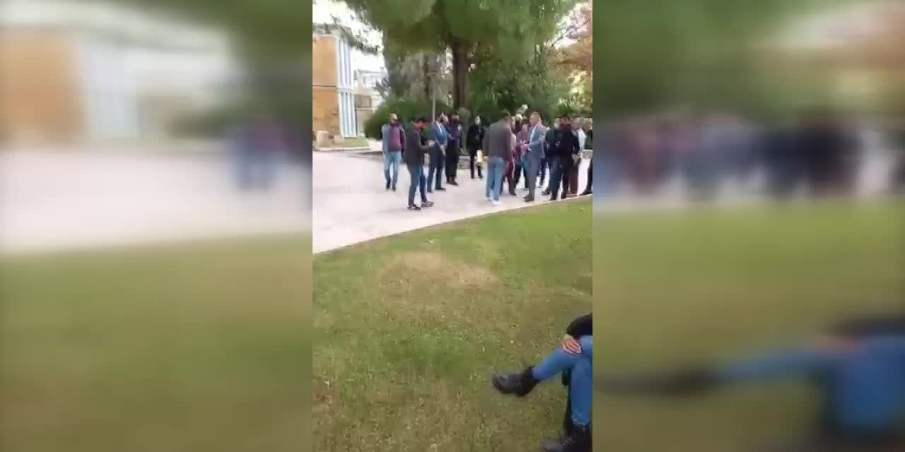 ZEYTİN ŞENLİĞİNDE GÖZALTI: “ZEYTİNİ KESMEK İSTEYEN FİRMANIN SPONSORLUĞUNDA HASAT ŞENLİĞİ YAPIYORSUNUZ”
