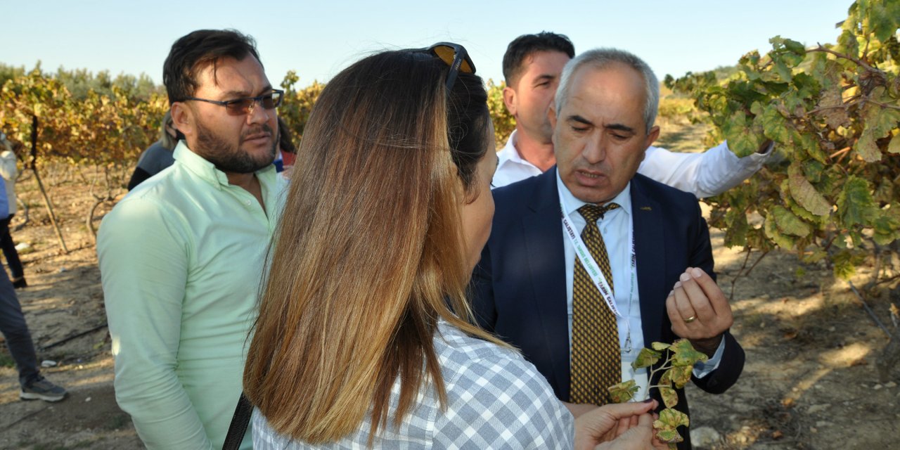 TARSUS TARIM ÇALIŞTAYI'NIN SONUÇ BİLDİRGESİ YAYINLANDI