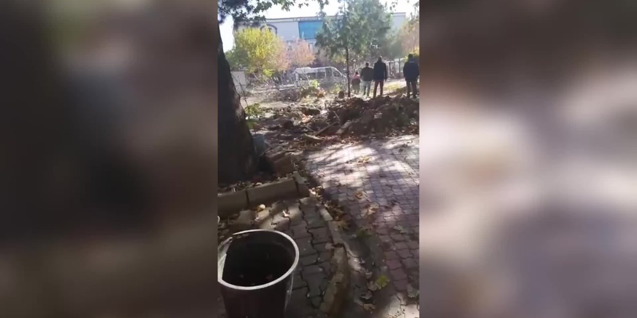 ELAZIĞ'DA VATANDAŞLAR AĞAÇLARIN KESİLMESİNE TEPKİ GÖSTERDİ: “KARAKOÇAN’IN TEK YEŞİL ALANI”