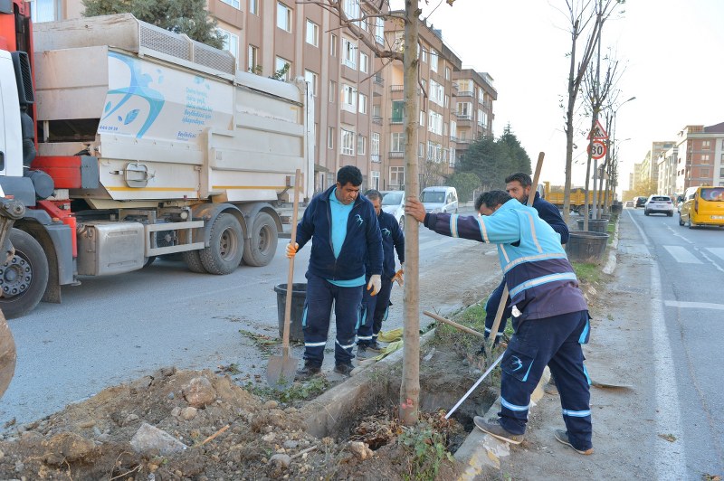 KENT AĞAÇLANDIRMA ÇALIŞMALARI DEVAM EDİYOR