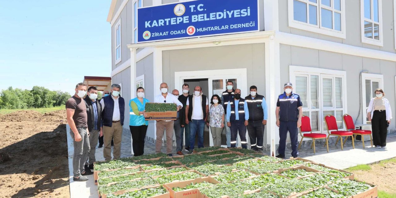 İZMİT BELEDİYESİ'NDEN KOCAELİLİÇİFTÇİLERE FİDE DESTEĞİ