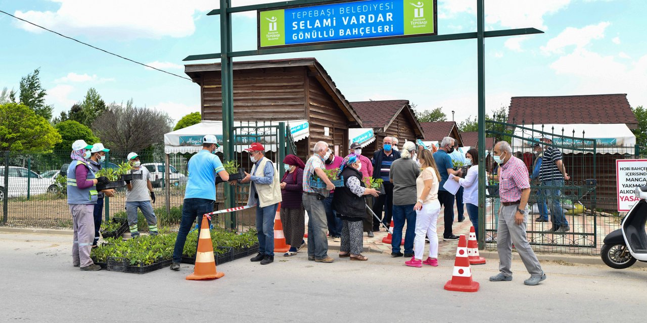 TEPEBAŞI BELEDİYESİ 7 BİN 480 ADET FİDE DAĞITTI