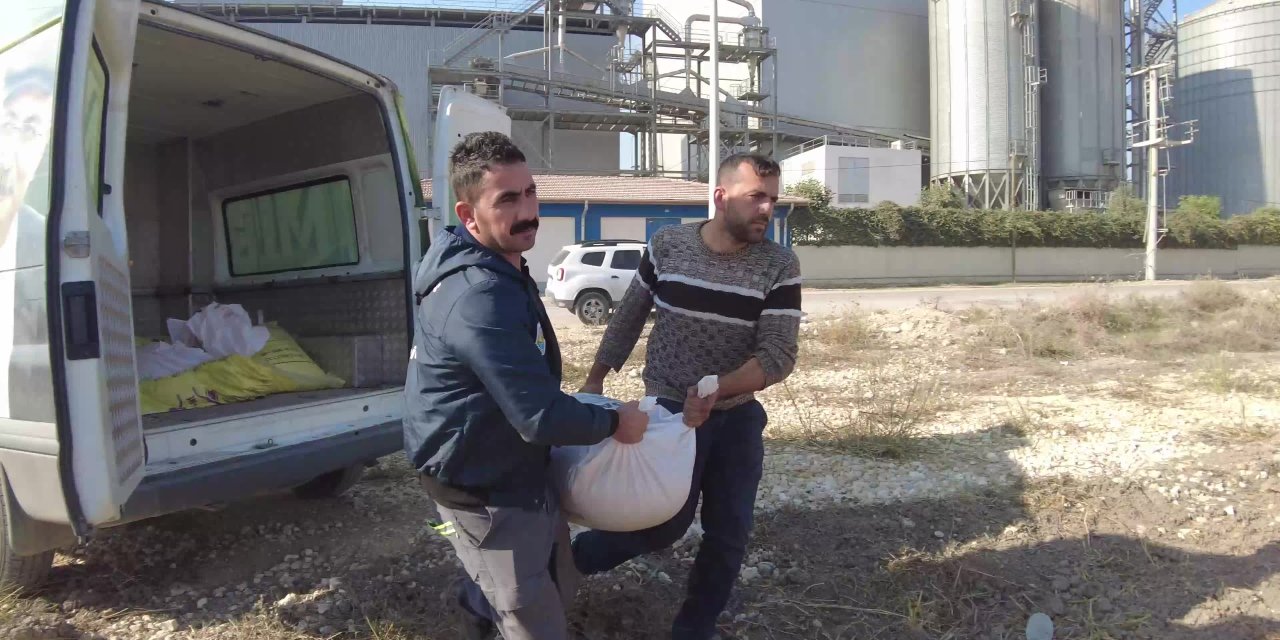 TARSUS BELEDİYESİ ATA TOHUMU EKİMİNE BAŞLADI