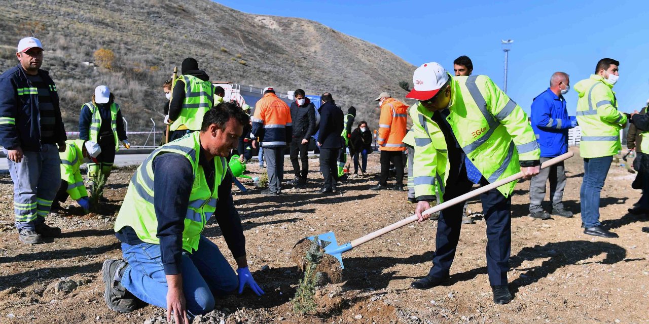 ANKARA'DA 2 BİN 604 FİDAN TOPRAKLA BULUŞTU