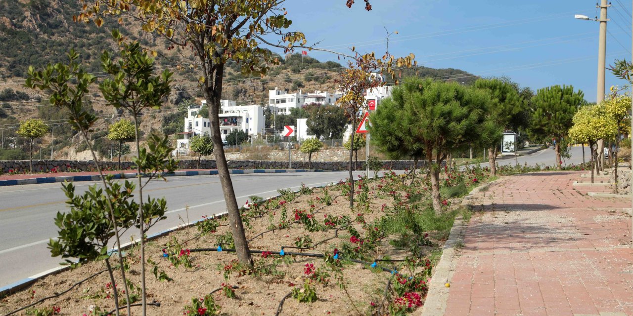 BODRUM BELEDİYESİ MEVSİMLERE UYGUN BİTKİ VE ÇİÇEKLERLE SU TASARRUFU SAĞLAYACAK