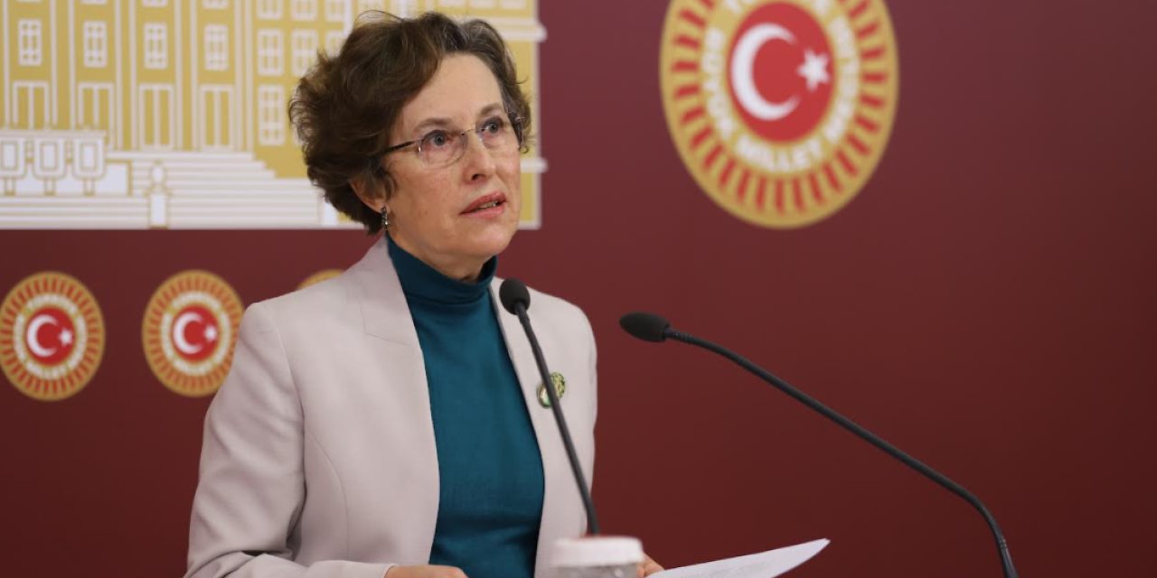 HDP’Lİ KERESTECİOĞLU, BAKAN YANIK'A "DİYARBAKIR’DAKİ ÖĞRETMEN TACİZİ" İDDİALARINI SORDU