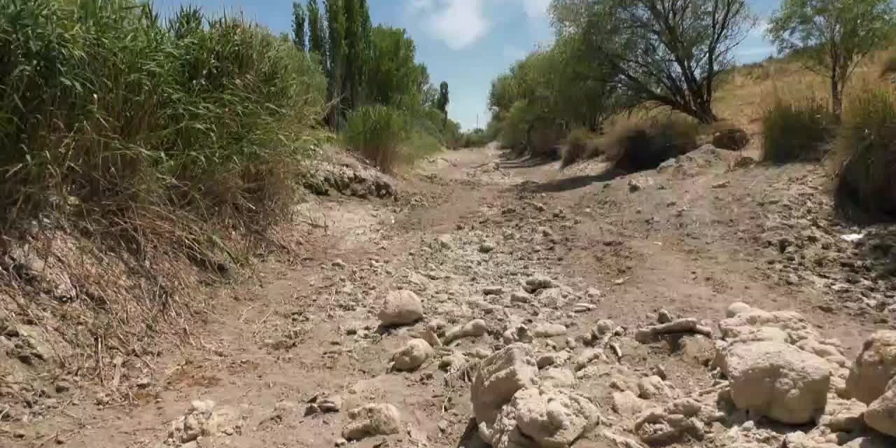 TÜRKİYE'NİN 3. EN UZUN NEHRİ OLAN SAKARYANIN KOLLARI KURUYOR