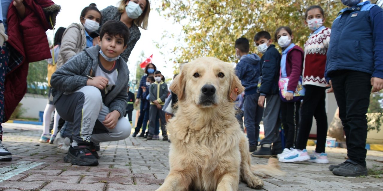 TARSUS BELEDİYESİ'NDEN HAYVAN SEVGİSİ İÇİN ADIM