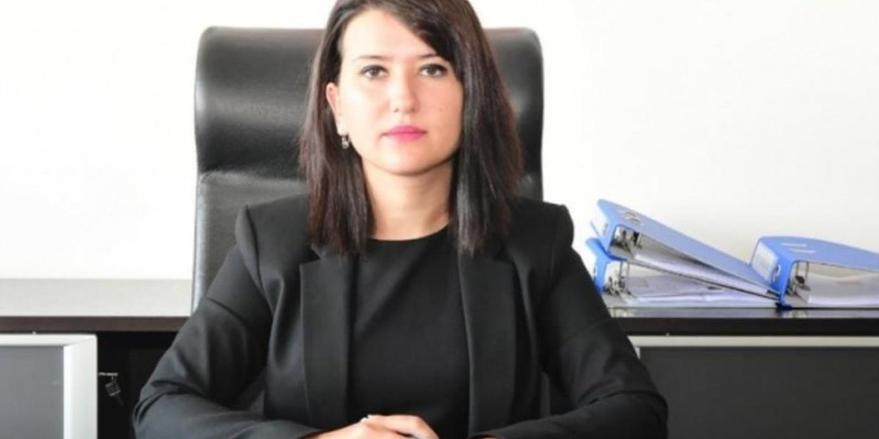GÖKÇEN'DEN 'BEYİN GÖÇÜ' RAPORU: "AKP İKTİDARI GİDER VE LİYAKATE DAYALI BİR SİSTEM GELİRSE HEMEN DÖNERİM"