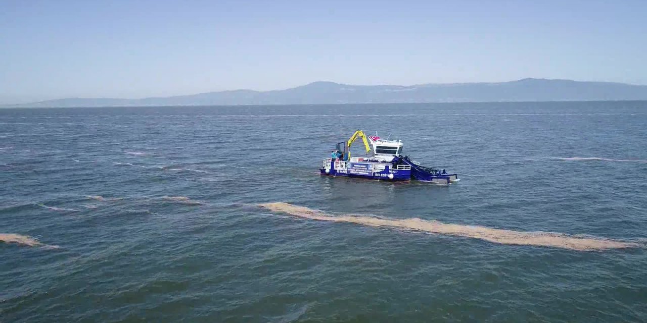 MUDANYA’DA DENİZ SALYASI TEMİZLEME ÇALIŞMALARI BAŞLADI