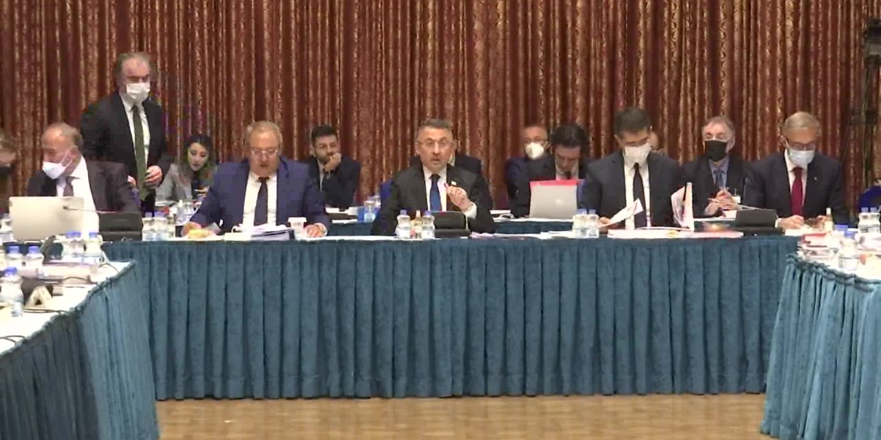 FUAT OKTAY: "DALGALI KUR REJİMİ İLE FİYAT HARAKETLERİ BİR SÜRE SONRA DENGEYE ULAŞACAK"
