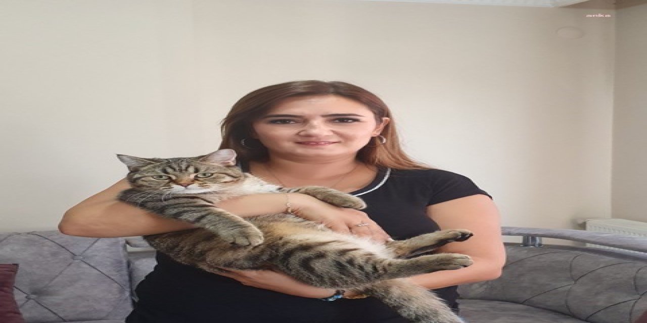 KILIÇ'TAN 'KARMA AŞI' UYARISI: "KEDİ VE KÖPEKLERDE BULAŞICI HASTALIKLAR PATLAYABİLİR"