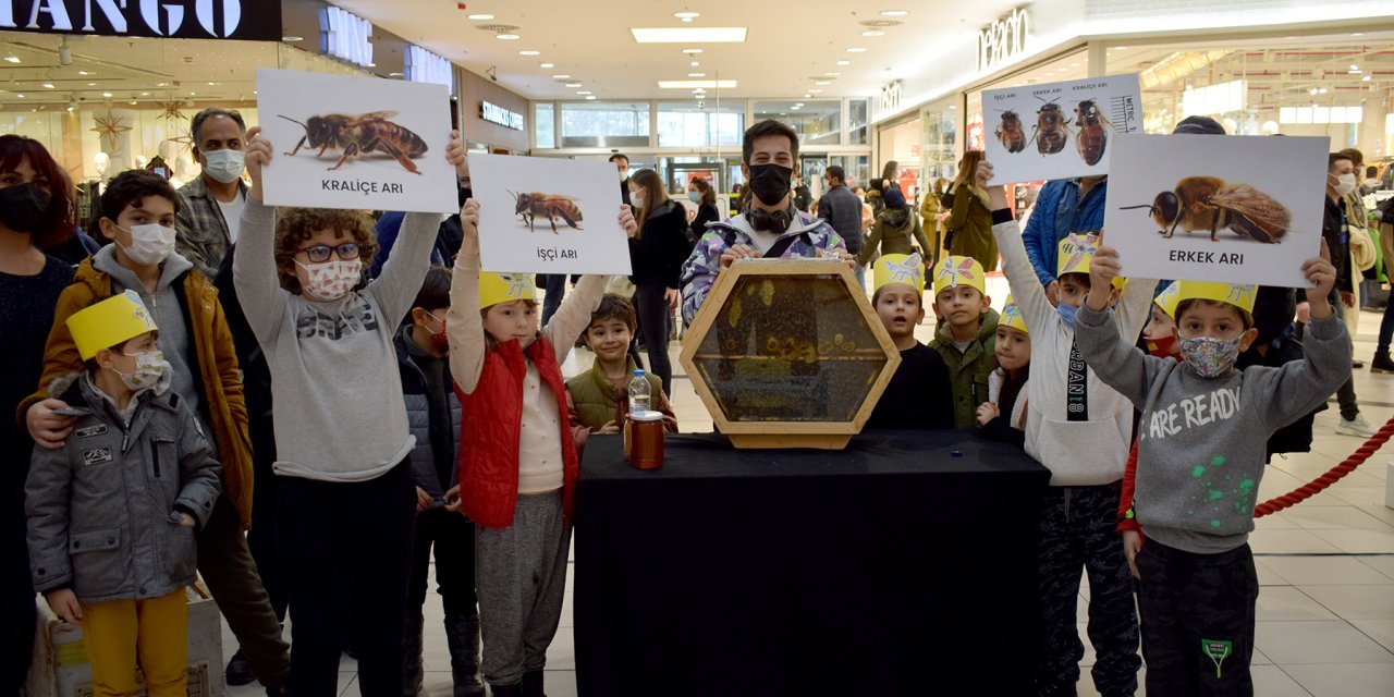 ÇOCUKLAR ARILARI TANIDI