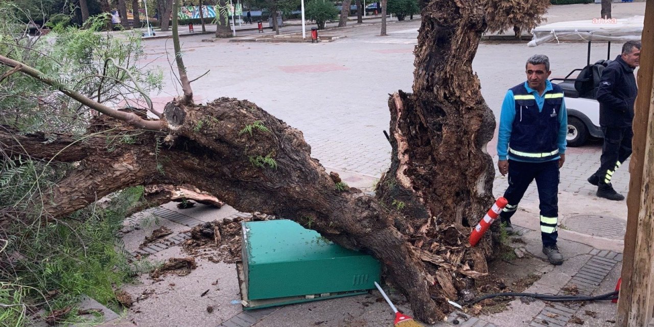 İZMİR'DE 33 AĞAÇ ZARAR GÖRDÜ, 3 İLÇEDE ÇATI UÇTU