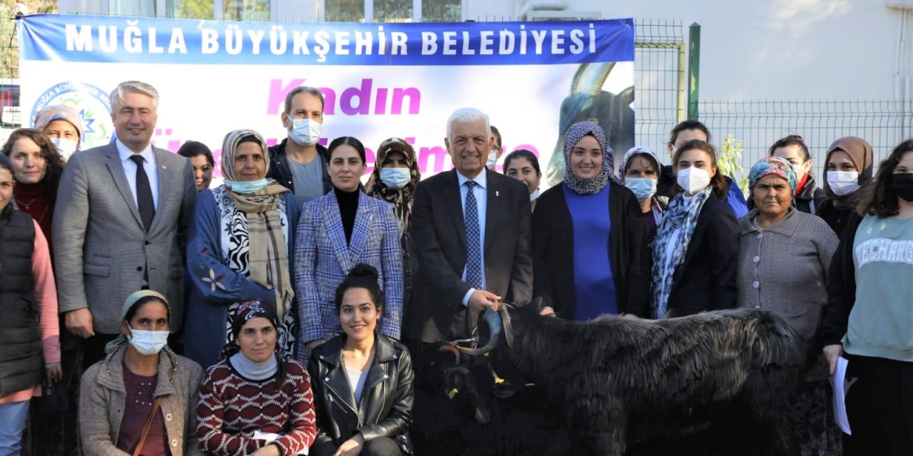 MUĞLA BÜYÜKŞEHİR'DEN KÖYCEĞİZ'DE KIL KEÇİSİ DESTEĞİ