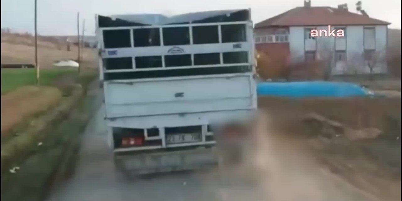 ELAZIĞ'DA, KAMYONETİN ARKASINDA SÜRÜKLENEN KÖPEK KURTARILDI