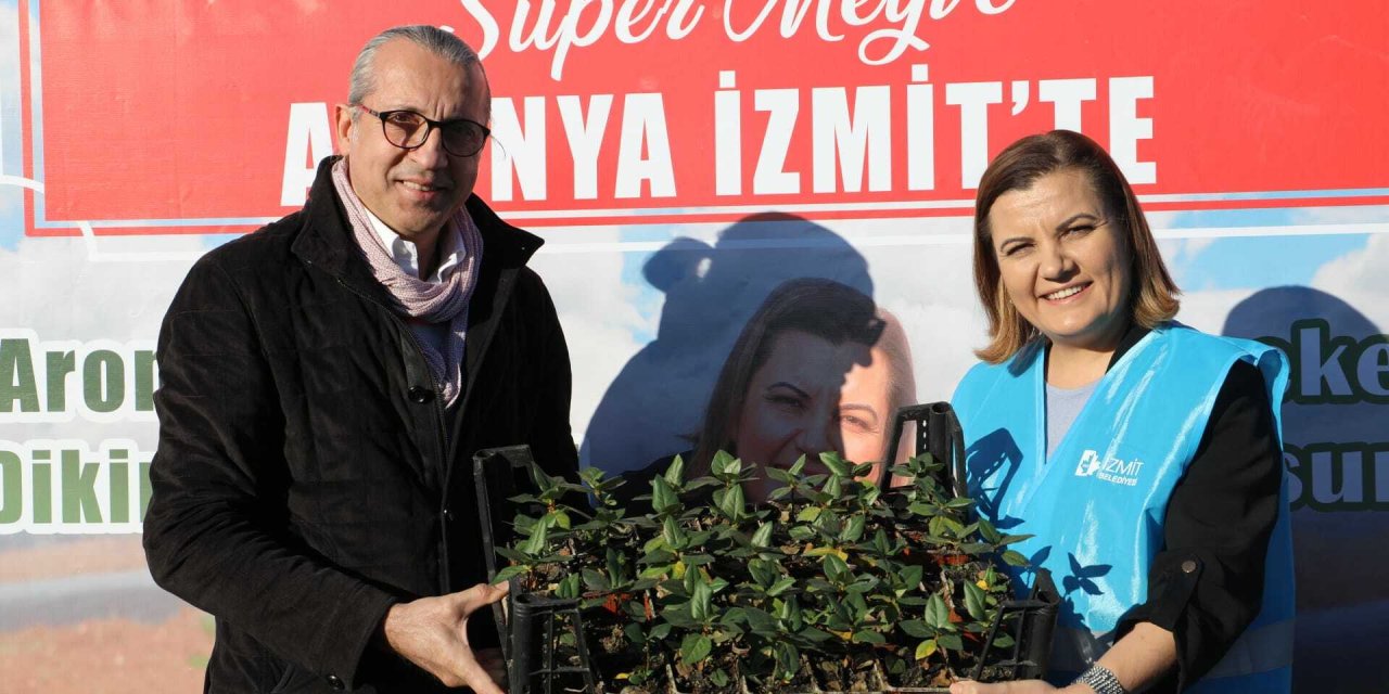 İZMİT ÇİFTÇİSİ SÜPER MEYVE ARONYA YETİŞTİRECEK