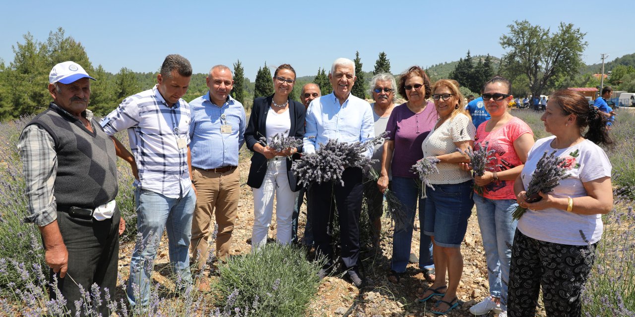 MUĞLA'DA KADIN ÜRETİCİLERE 97 BİN 500 ADET TIBBİ AROMATİK FİDAN DAĞITILDI