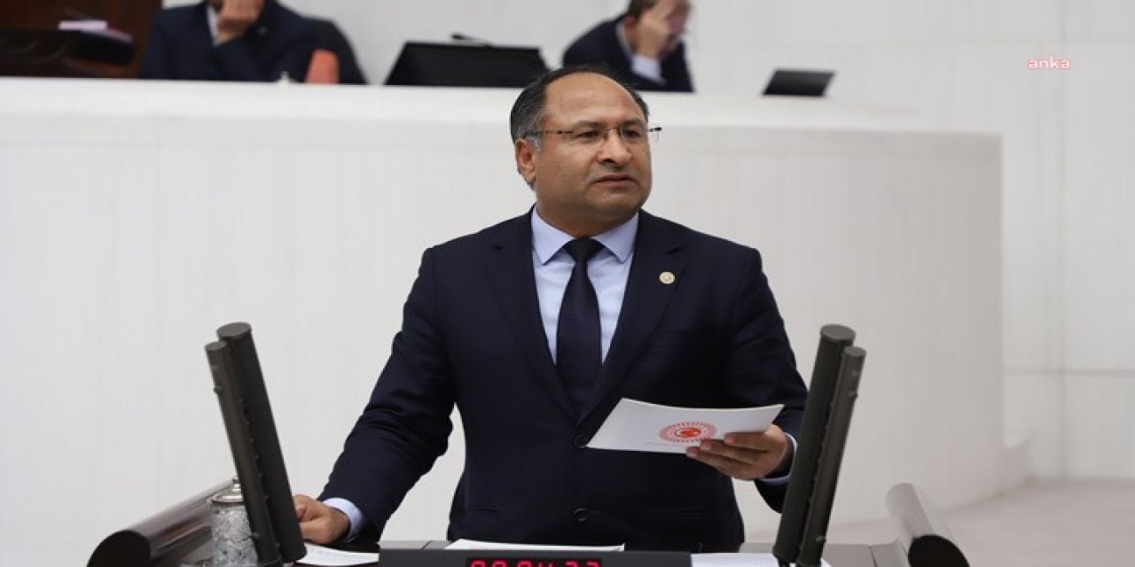 PURÇU: “ROMANLARIN ANAYASAL HAKLARI İHLAL EDİLİYOR”
