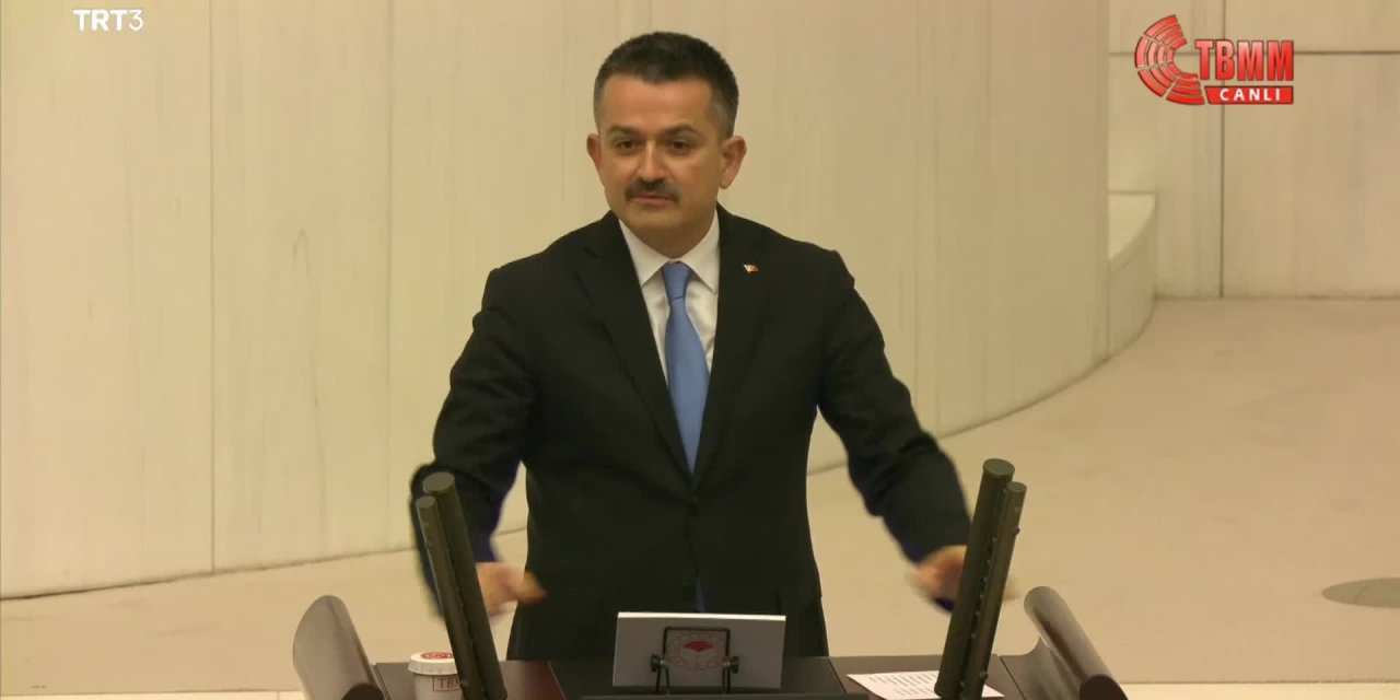 BAKAN PAKDEMİRLİ: YANGINLARI BİZ ÇIKARMADIK, SÖNDÜRMEK İÇİN CAN VERDİK. FATİHA OKUMAYI ÖĞRENİN ÖNCE