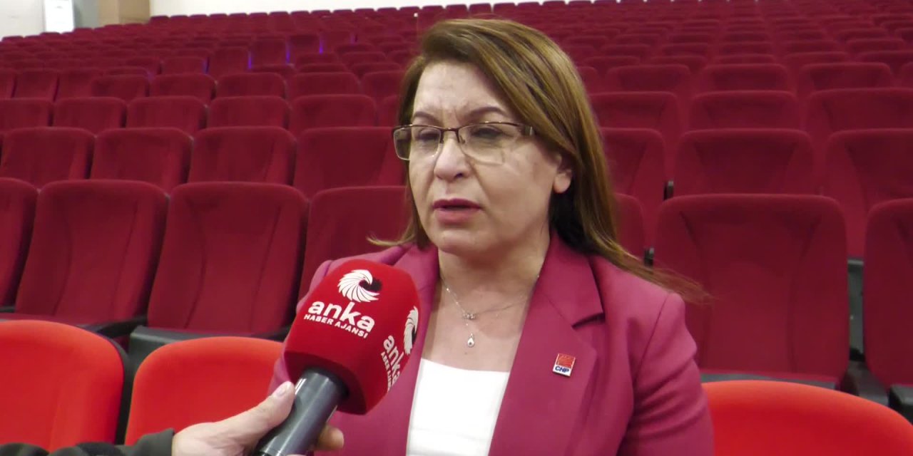 CHP'Lİ KARACA: “İÇİŞLERİ BAKANI ÖFKE KONTROLÜNÜ KAYBETMİŞ DURUMDA, DERHAL GÖREVİNDEN ALINMASI GEREKİR”