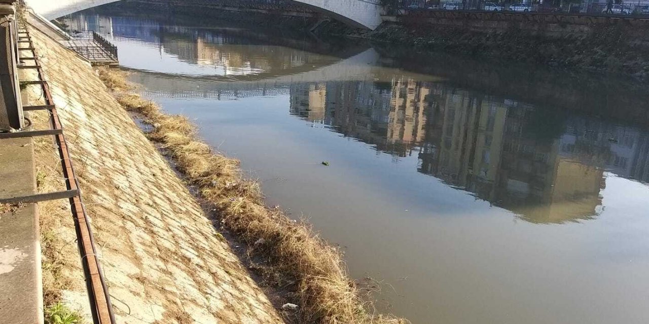 HATAY'IN ASİ NEHRİNDE TEMİZLİK ÇALIŞMASI
