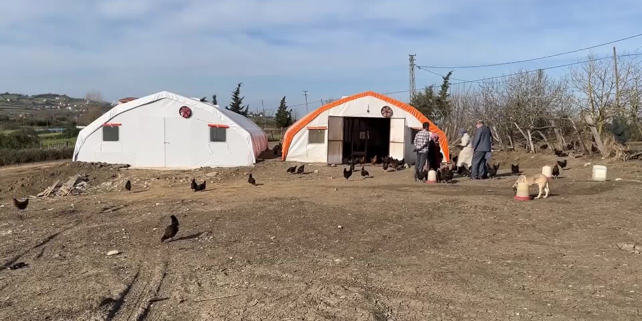 AFGANİSTAN’DAN SİNOP’A YERLEŞEN RAMAZANİ, TAVUK ÇİFTLİĞİ KURDU