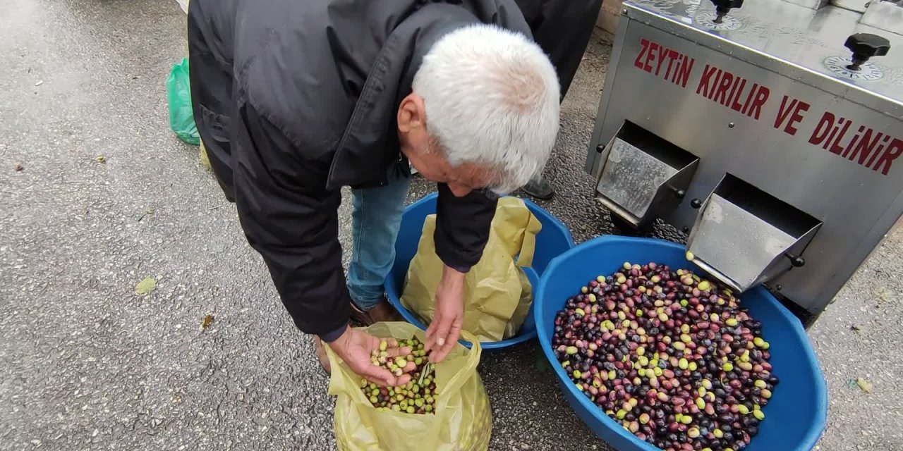 KARAMANLI ZEYTİN ÜRETİCİSİ: FİYAT BUGÜN 5 LİRA YARIN 10 LİRA, BİLEMİYORSUN