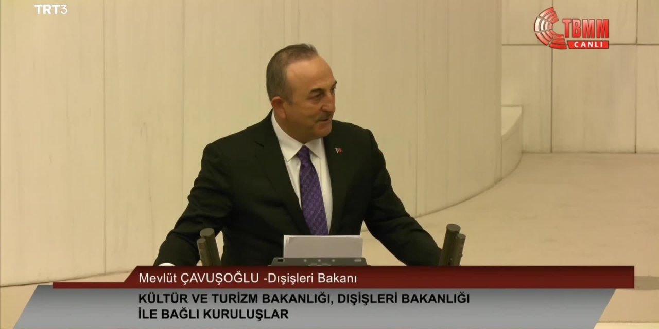 ÇAVUŞOĞLU: "BÜYÜKELÇİLER, APTALCA HATA YAPTILAR VE GERİ ADIM ATTILAR, ONDAN SONRA DA BİZ DE GEREKENİ YAPTIK"