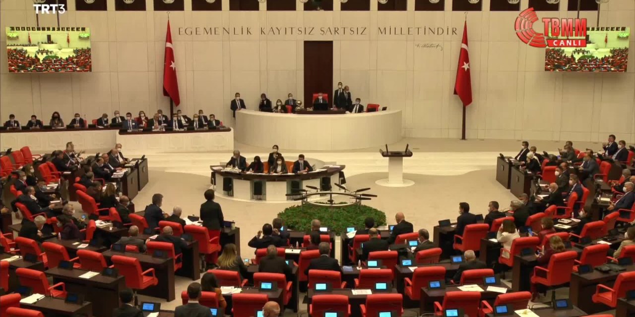 HDP'Lİ BEŞTAŞ'TAN BAKAN BAKAN ÇAVUŞOĞLU'NA: "SİZ MİLLETE DAYANIYORSUNUZ DA BİZ AĞAÇLARA MI DAYANIYORUZ"