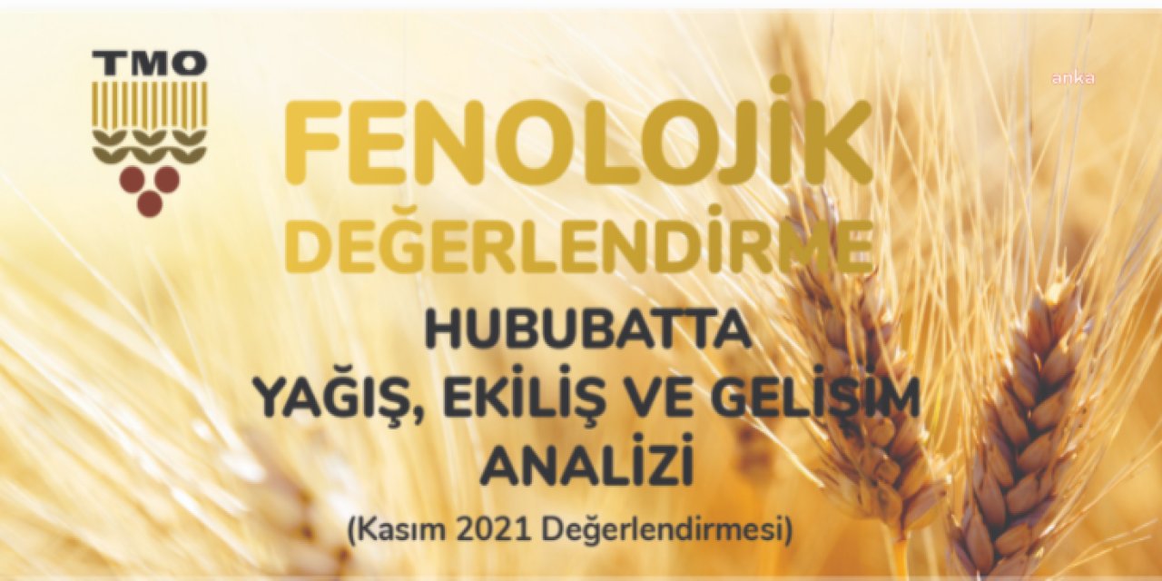 TMO: "ÜRETİCİLERİMİZ DAHA UYGUN FİYATLI KOMPOZE GÜBRELERE YÖNELDİ"