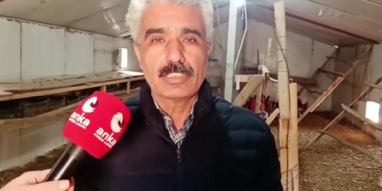 ARDANUÇLU ÜRETİCİ, ÇİFTLİĞİNİ SATTI: "TAVUKLARI ELİMDEN ÇIKARMAM LAZIM YOKSA HAYVANLAR AÇLIKTAN ÖLECEK"