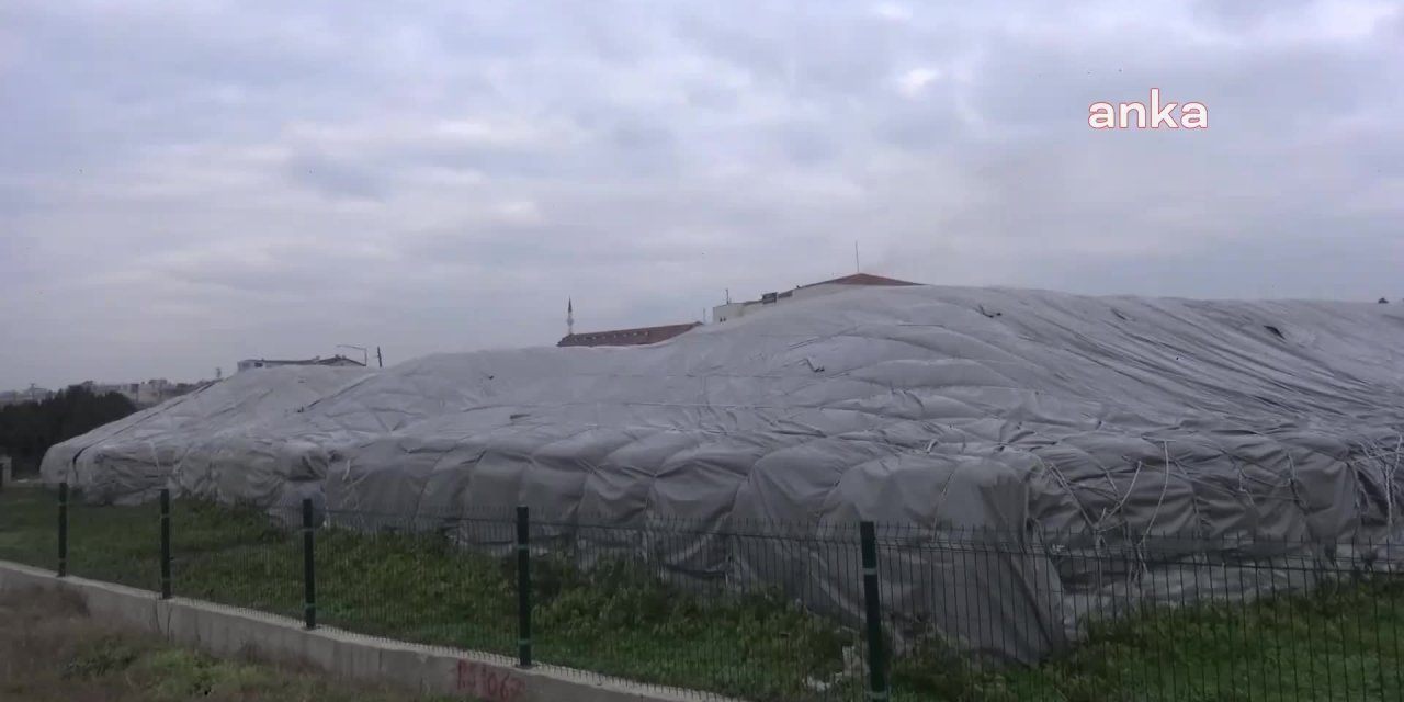 AYÇİÇEĞİ DURDUĞU YERDE YÜZDE 100 ZAMLANDI, ÇİFTÇİLER ARADAKİ FARKIN KENDİLERİNE ÖDENMESİ İÇİN KOOPERATİFE BAŞVURDU