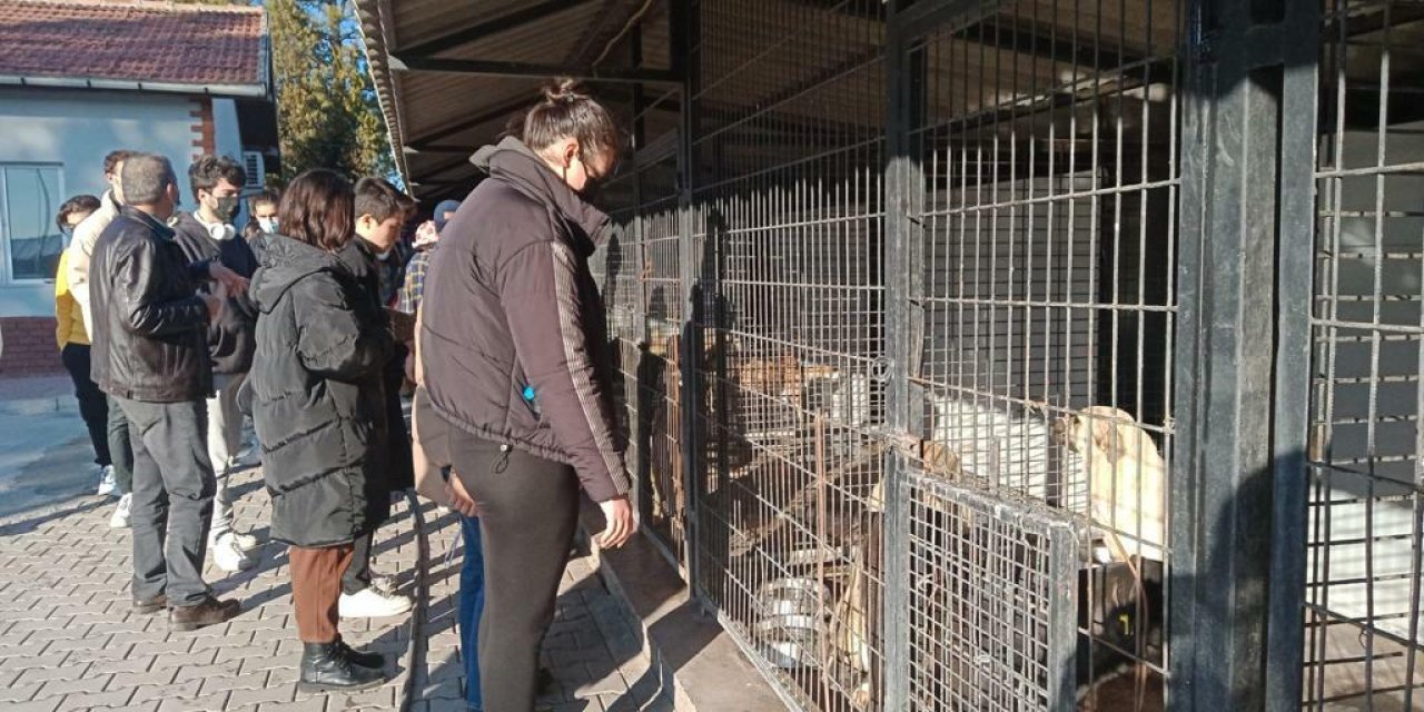 ERASMUS ÖĞRENCİLERİ ODUNPAZARI BELEDİYESİ’NİN GEÇİCİ HAYVAN BAKIMEVİ’Nİ GEZDİ