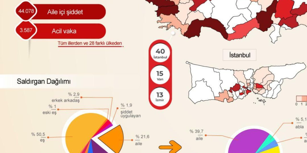 TKDF: AİLE İÇİ ŞİDDETİ YÜZDE 50,5 ORANINDA EŞLER, YÜZDE 21,6 ORANINDA DİĞER AİLE ÜYELERİ UYGULADI