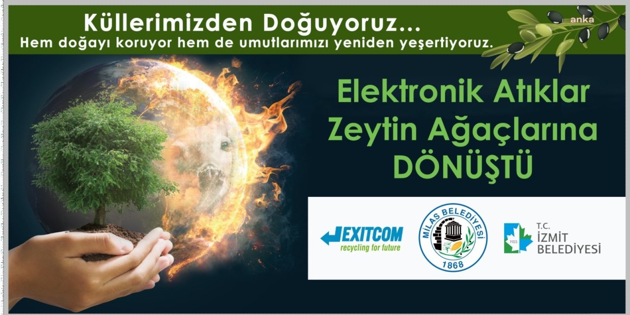İZMİT’İN DÖNÜŞTÜRÜLEN ATIKLARI, ZEYTİN FİDESİ OLUYOR