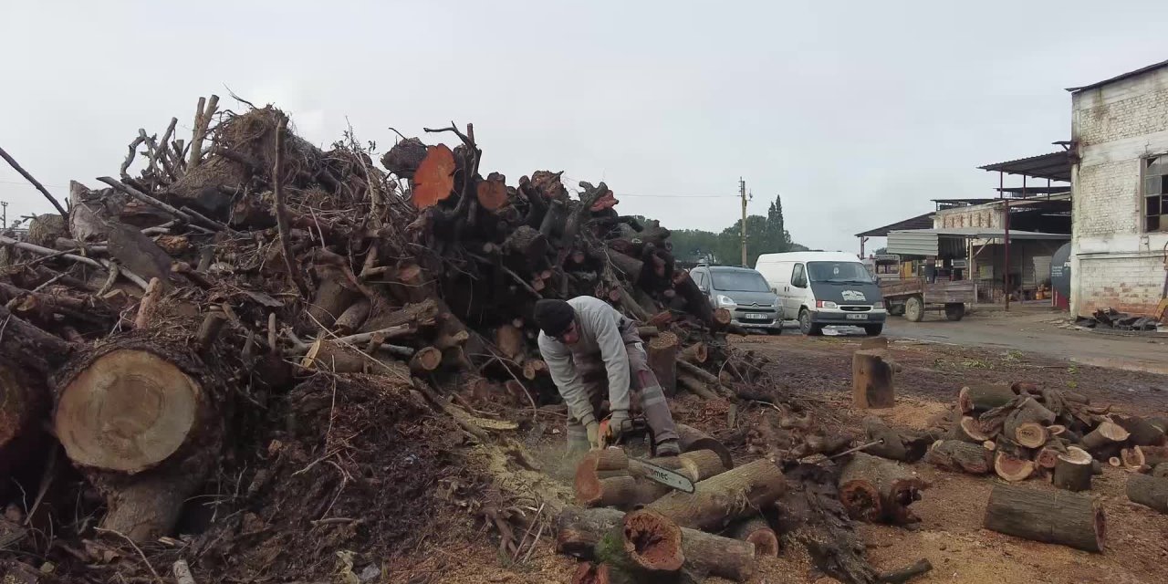 TURGUTLU BELEDİYESİ'NDEN 1800 HANEYE YAKACAK DESTEĞİ