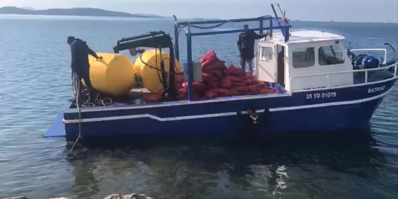 İZMİR'DE KAÇAK AVLANAN 2 TON CANLI BEYAZ MİDYE DENİZE BIRAKILDI