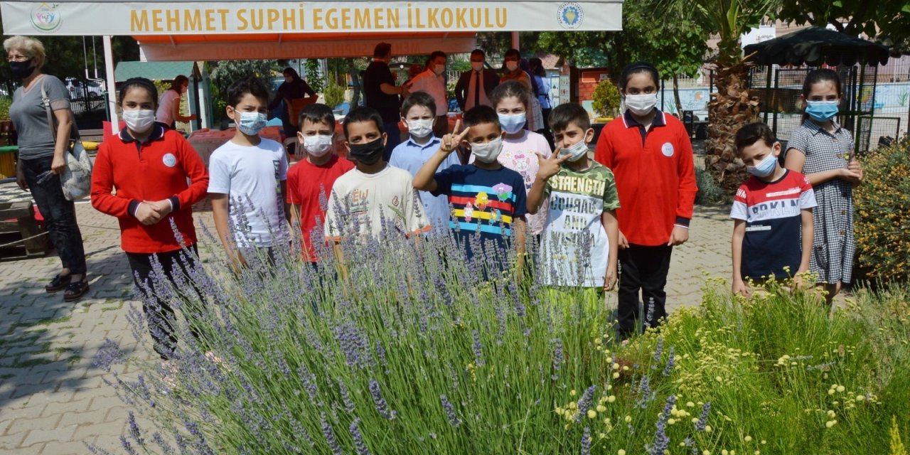 SERA GİBİ OKUL BAHÇESİNDE HASAT