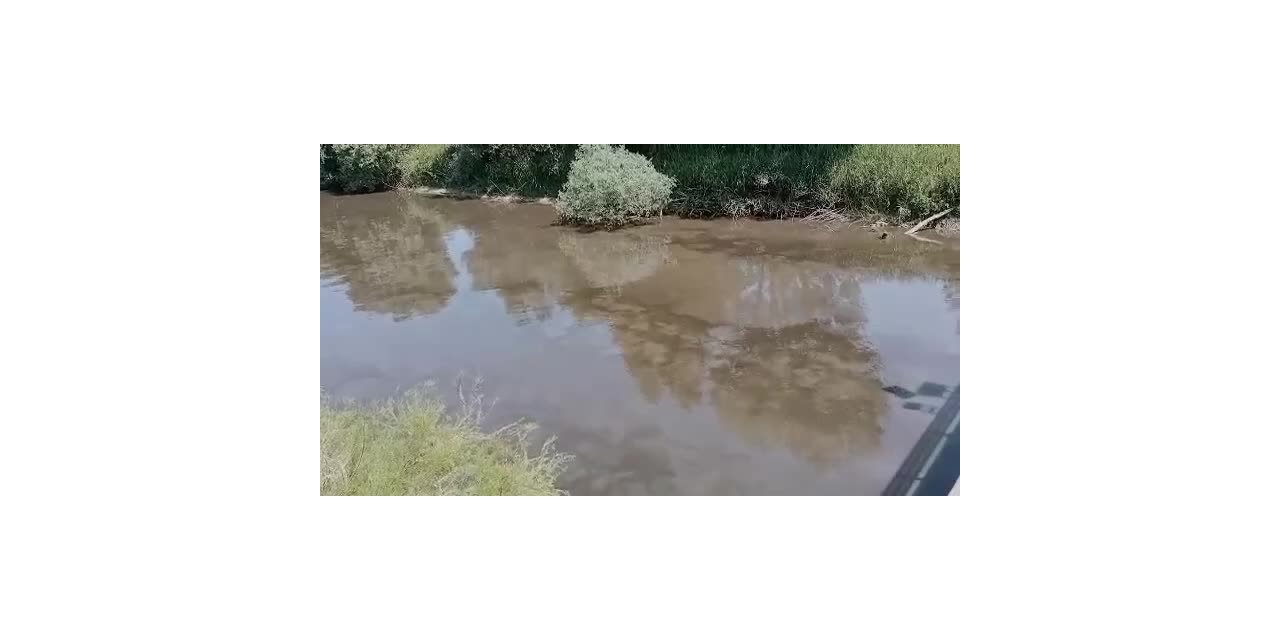 Evinin Balkonunda Hint Keneviri Yetiştiren Şahıs Gözaltına Alındı