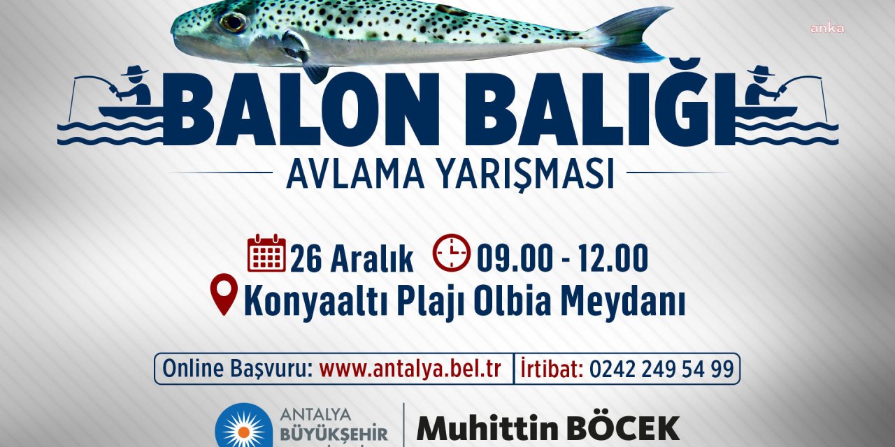 ANTALYA'DA OLTACILAR, BALON BALIĞI YAKALAMAK İÇİN YARIŞACAK