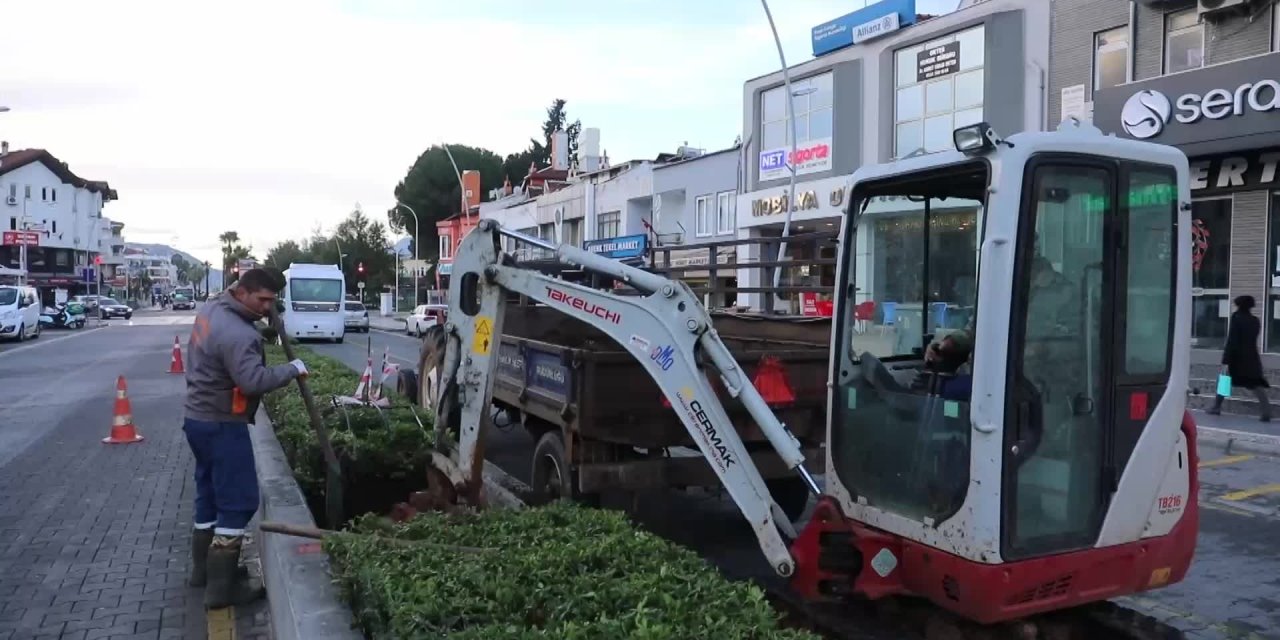 MARMARİS BELEDİYESİ YEŞİLLENDİRME ÇALIŞMALARINA DEVAM EDİYOR