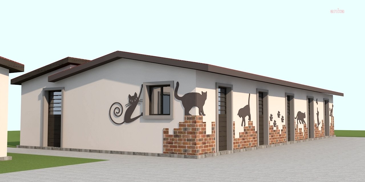 KUŞADASI BELEDİYESİ'NDEN HASTA VE SAHİPSİZ KEDİLERE ÖZEL TEDAVİ ÜNİTESİ