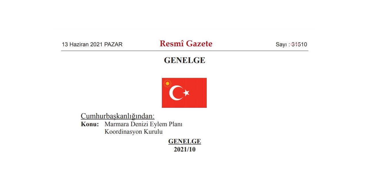 Boğa, Sahibini Öldürdü