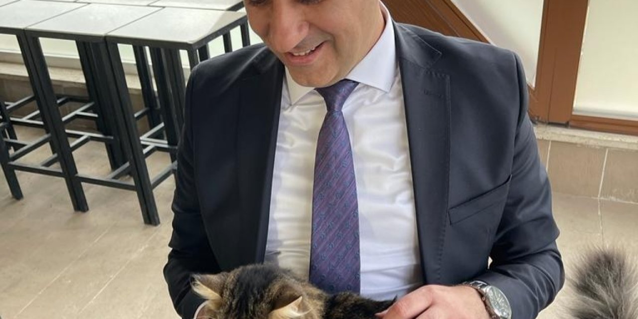 MENDERES BELEDİYESİ, SOKAK HAYVANLARINA YÖNELİK ÇALIŞMALARINI SÜRDÜRÜYOR