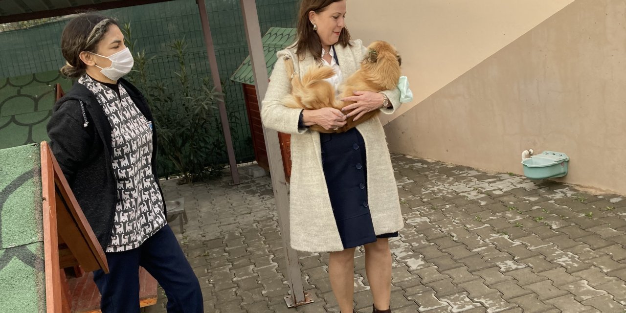 BALÇOVA BELEDİYE BAŞKANI ÇALKAYA’DAN BARINAK DENETİMİ